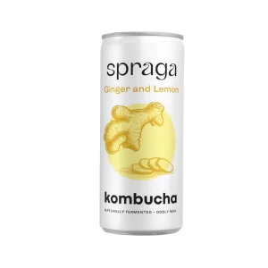 kombucha de gengibre e limão